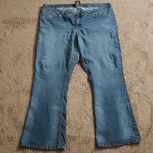 Torrid (Source of Wisdom) - Jeans Sz 24